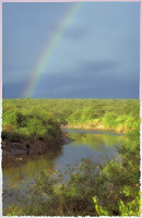 Serengeti River and Rainbow