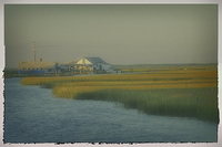 Chincoteague