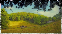 Banner Elk Meadow