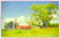 Denver Farm