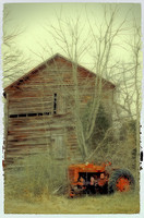 Massey at Killian Farm