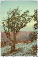Grand Canyon Winds